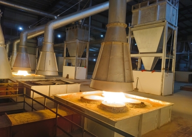 Punia Metox Starts Production At Tirupati Facility