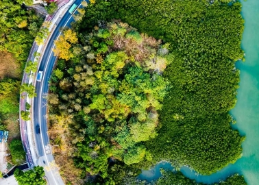 TIP-Supported Study Intros Advanced Model To Track TRWP Movement Through Soil And Waterways