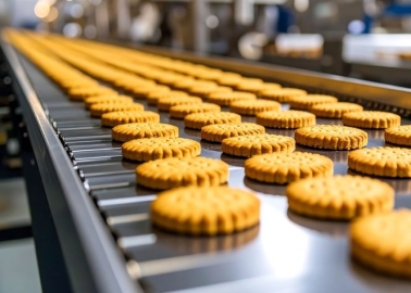 wdk Initiative Champions Conveyor Belts As Economic, Environmental Backbone